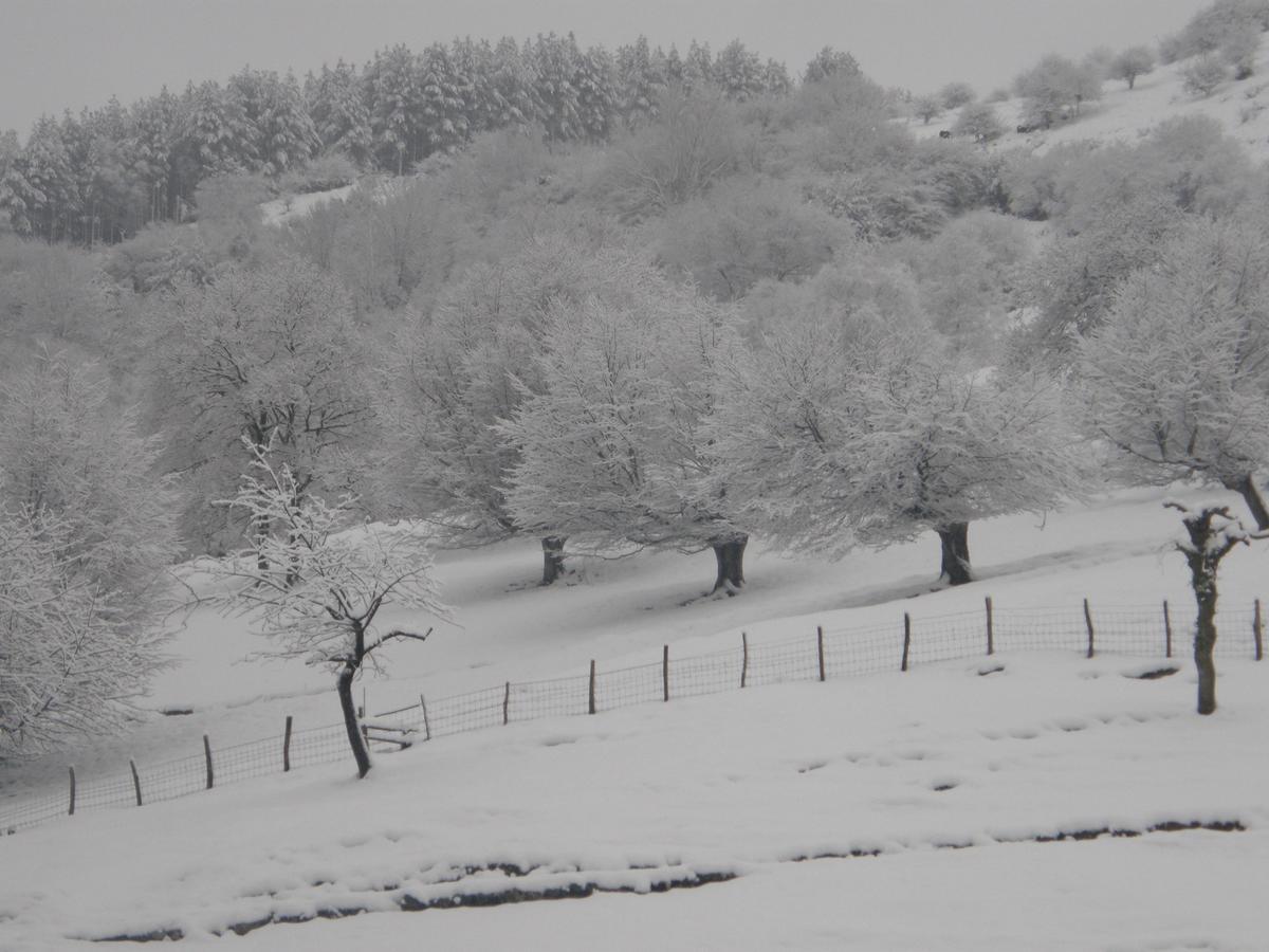 Casa Rural Alustiza Pensionat Villabona Exteriör bild