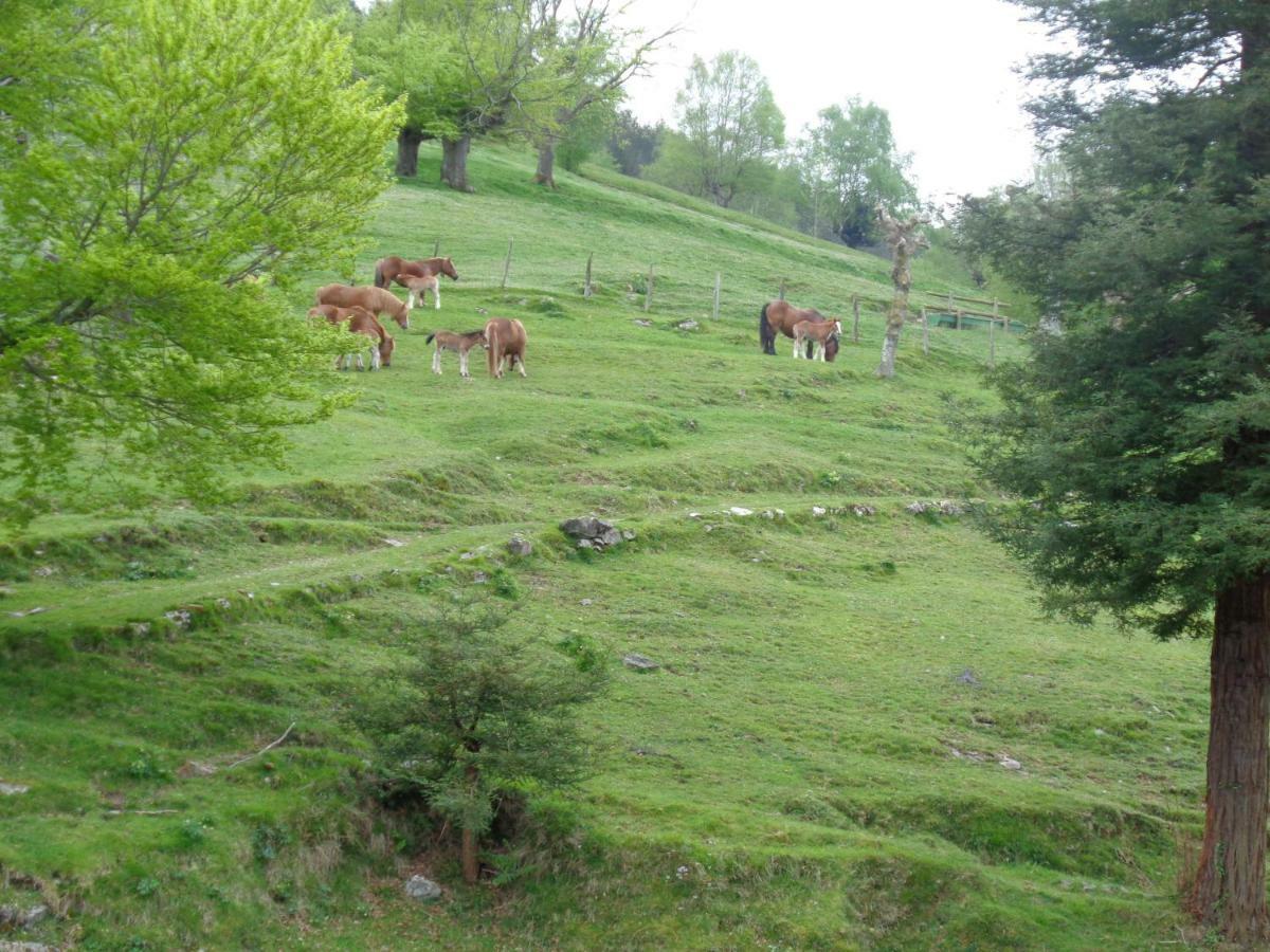 Casa Rural Alustiza Pensionat Villabona Exteriör bild